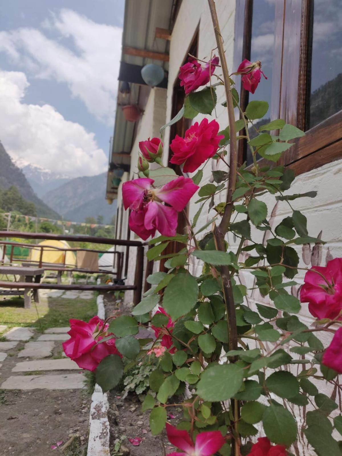 Himtrek Stay Kasol Exterior foto